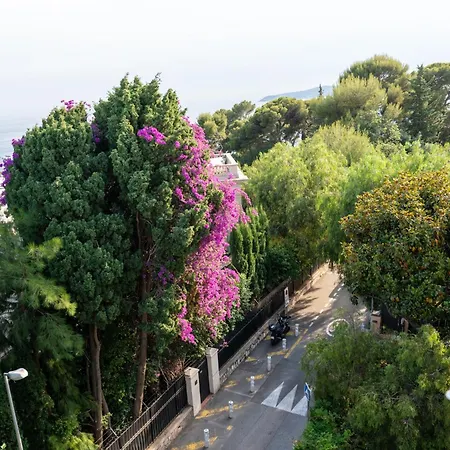 De Monaco Hotel